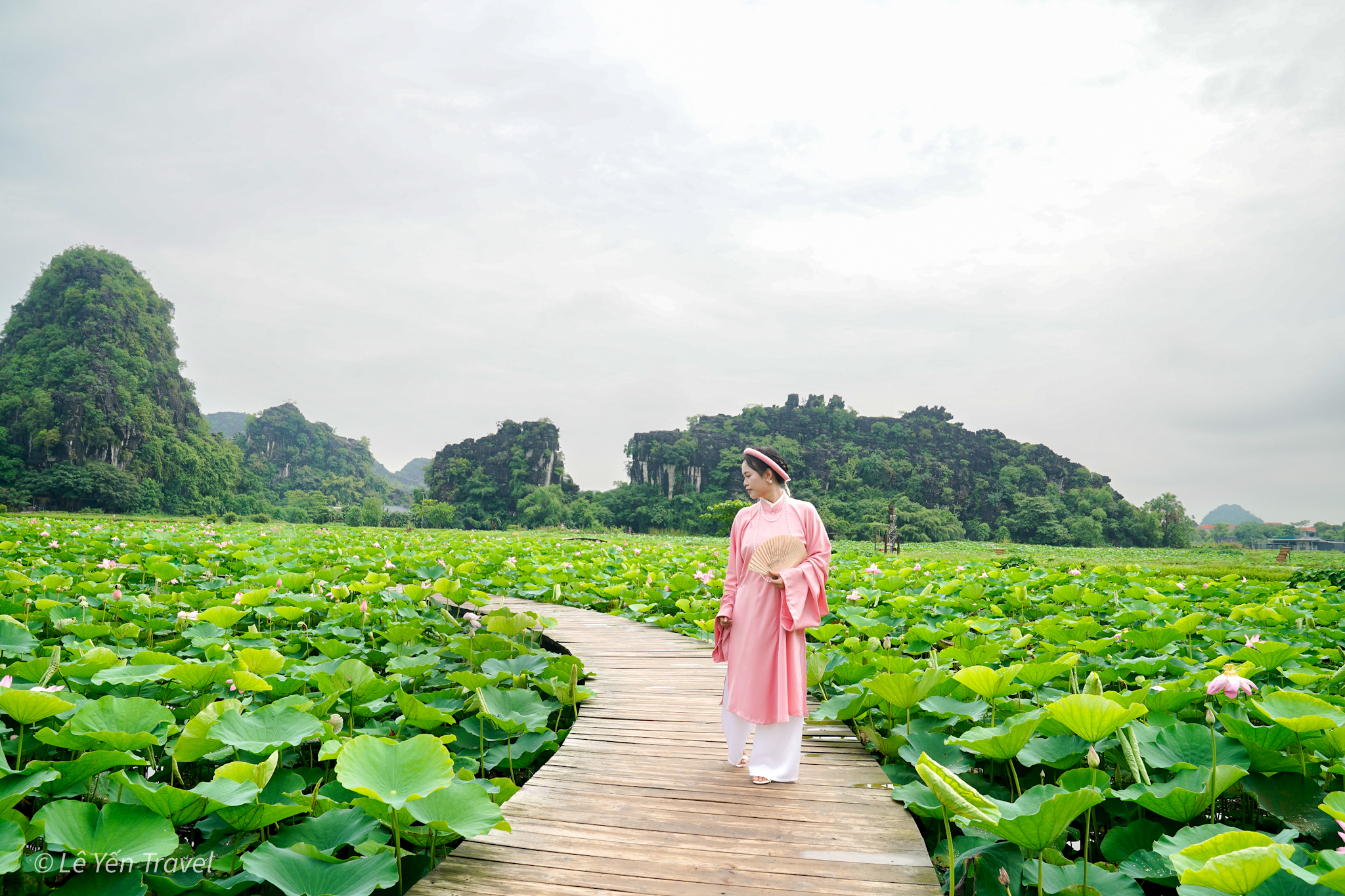 viet_content_premium_chuyen_nghiep